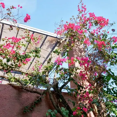 View 1. Appartement *